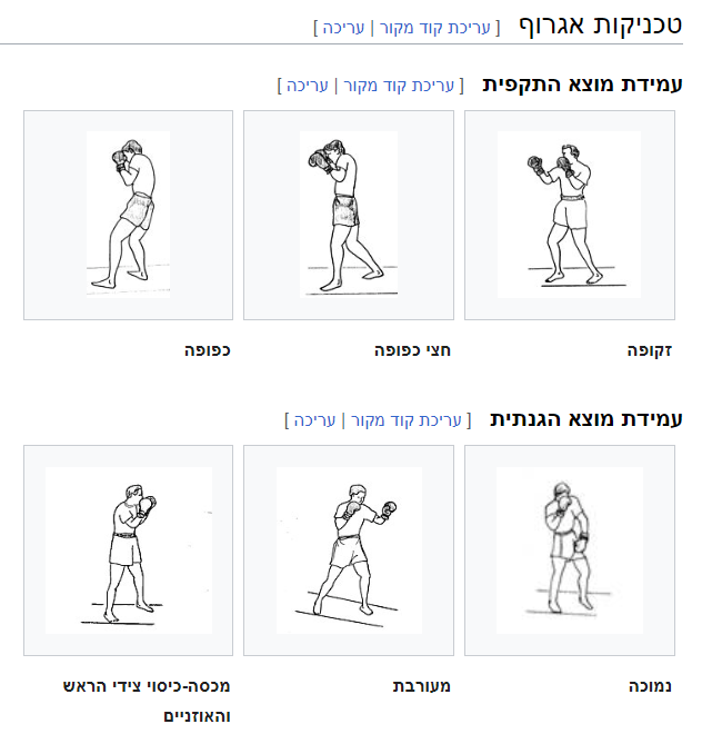 שק איגרוף: האימון המושלם לשפר את כושר הגוף