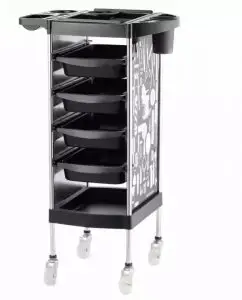 תיאור עגלת הספרים