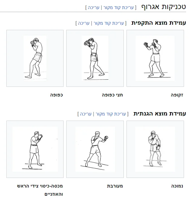 שק איגרוף: האימון המושלם לשפר את כושר הגוף