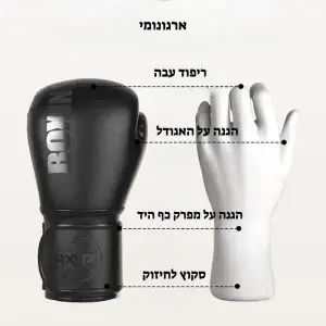 כפפות איגרוף - 2 מידות