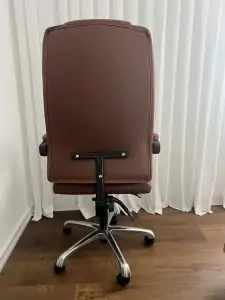 כסא מנהלים תמונה מאחור